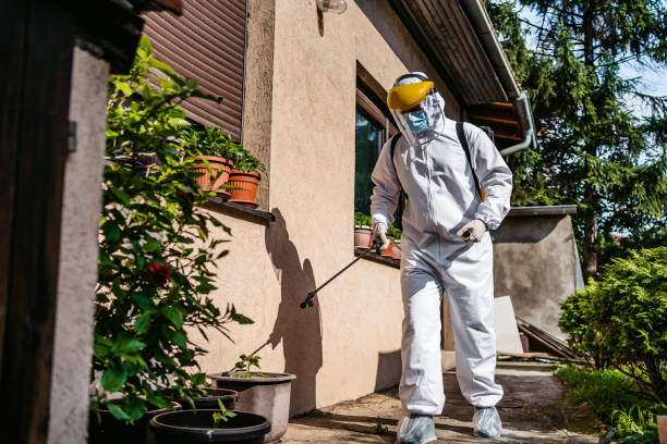 Best Pest Inspection Near Me  in Meeker, CO