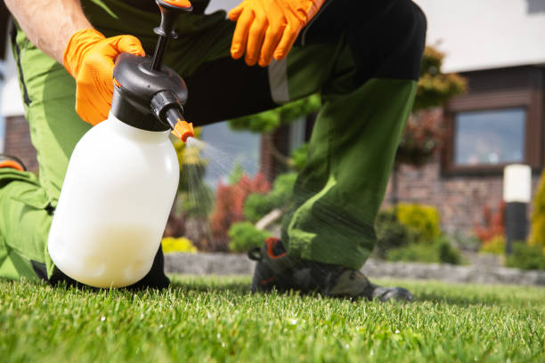 Best Pest Prevention Services  in Meeker, CO