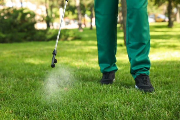 Best Pest Control Near Me  in Meeker, CO