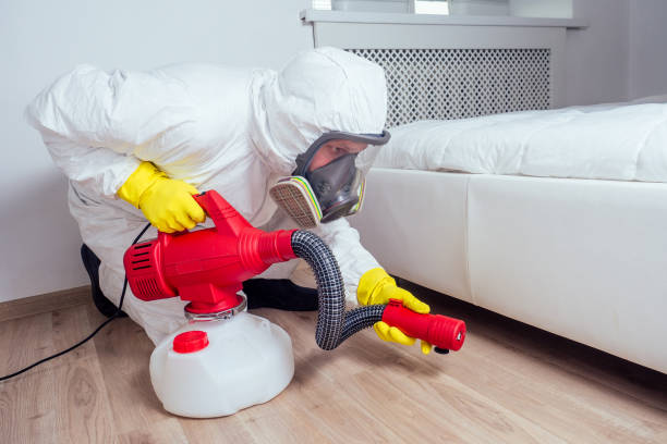 Best Wasp Removal Services  in Meeker, CO