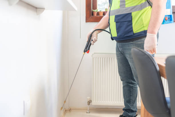 Best Residential Pest Control  in Meeker, CO