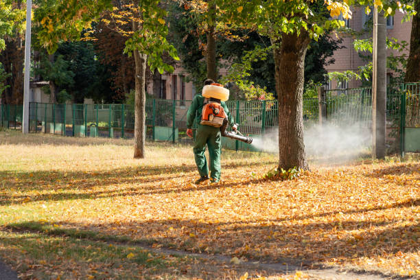 Best Pest Control for Businesses  in Meeker, CO