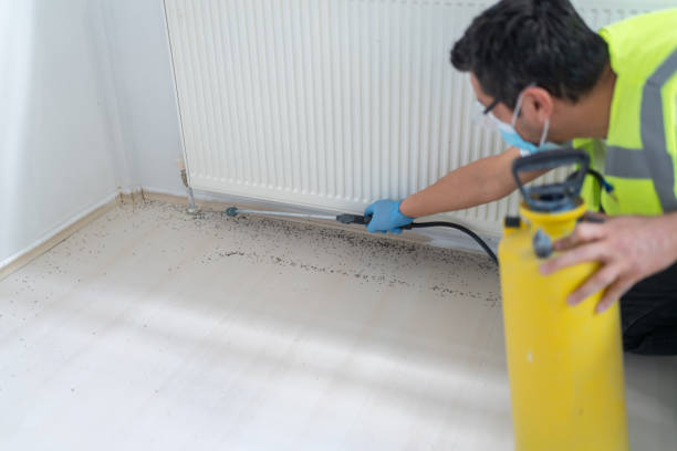 Trusted Meeker, CO Pest Control Experts