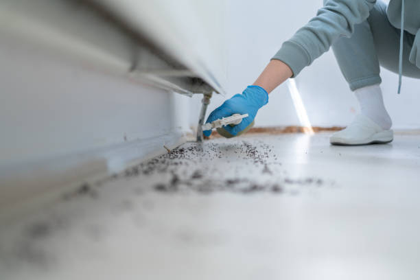 Best Best Pest Control Companies  in Meeker, CO
