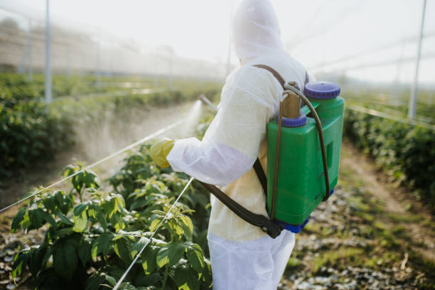 Best Commercial Pest Control Services  in Meeker, CO